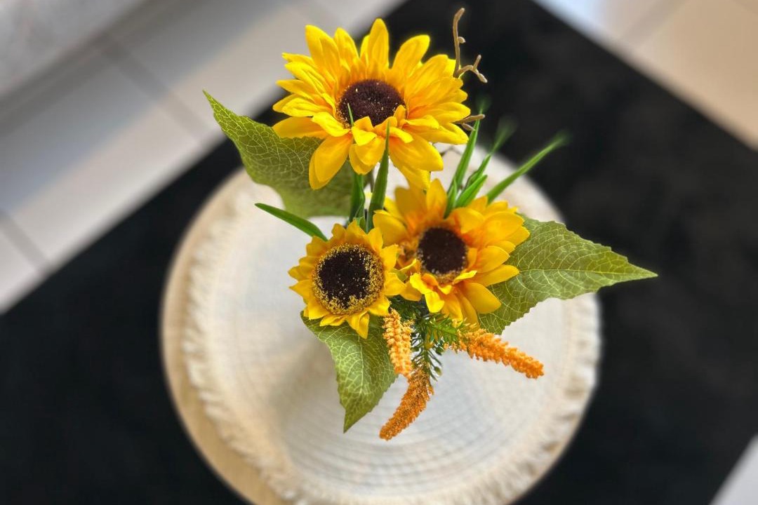 Photo of Others in Aix-les-Bains City Center