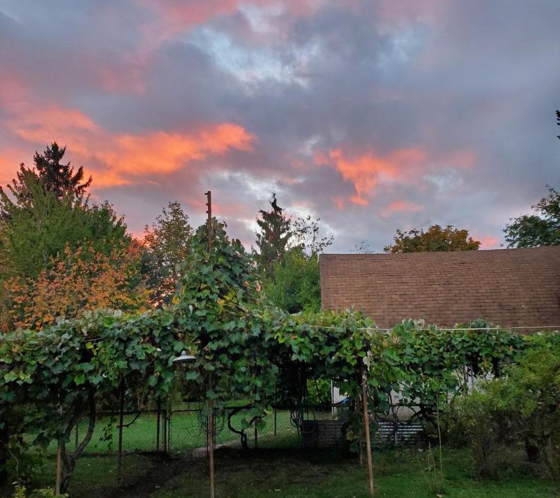 Photo of Others in Starcrest