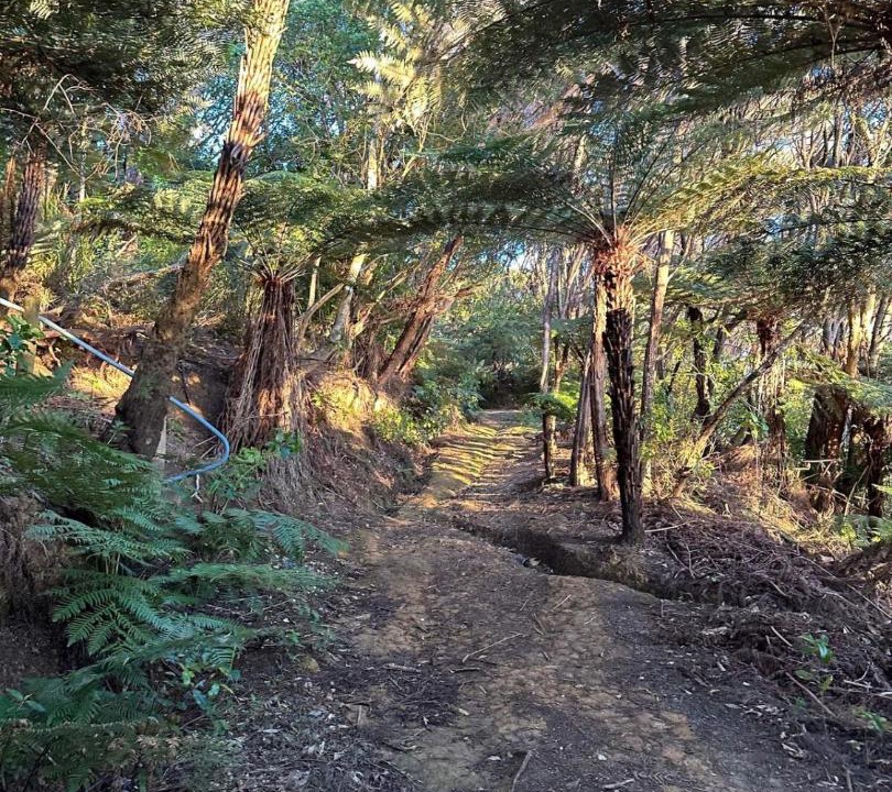 Photo of Others in Kerikeri