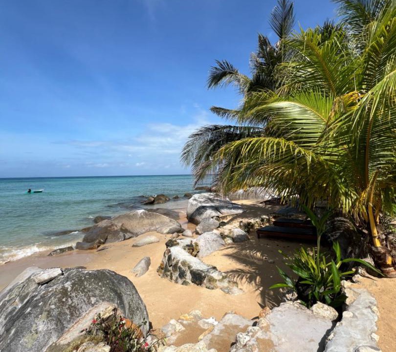 Photo of Others in Tioman Island