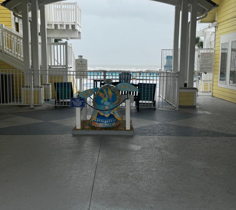 Photo of Others in Galveston