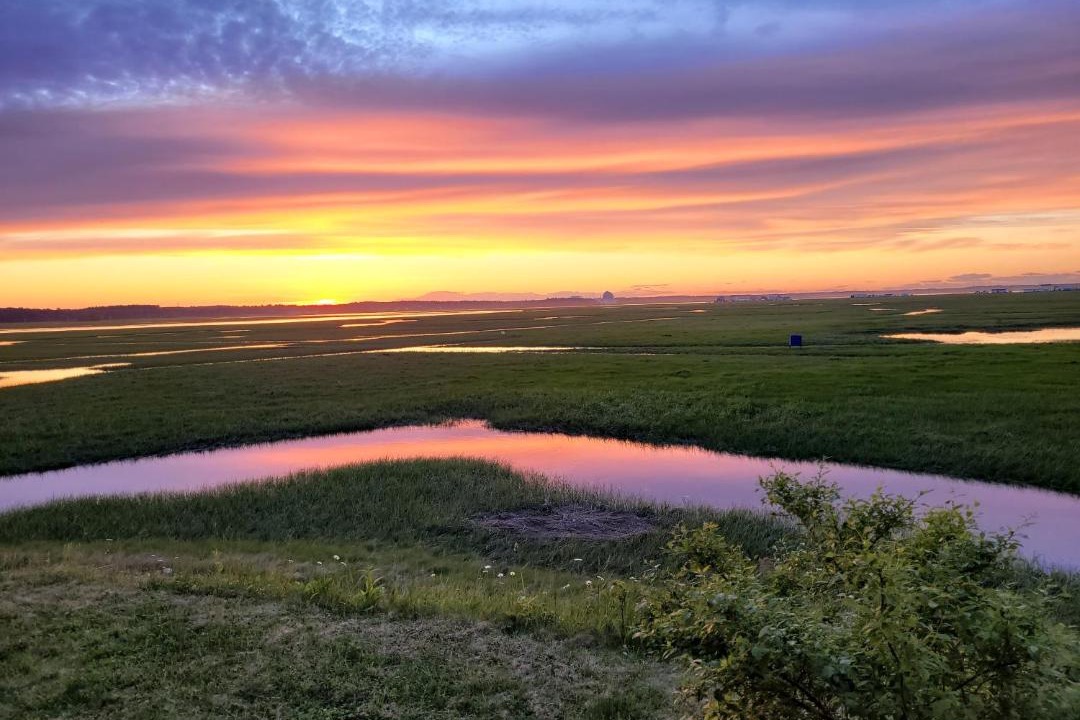 Photo of Others in Seabrook