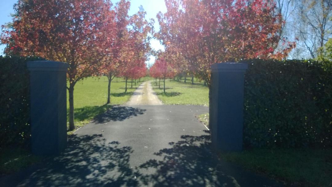 Photo of Others in Tamahere