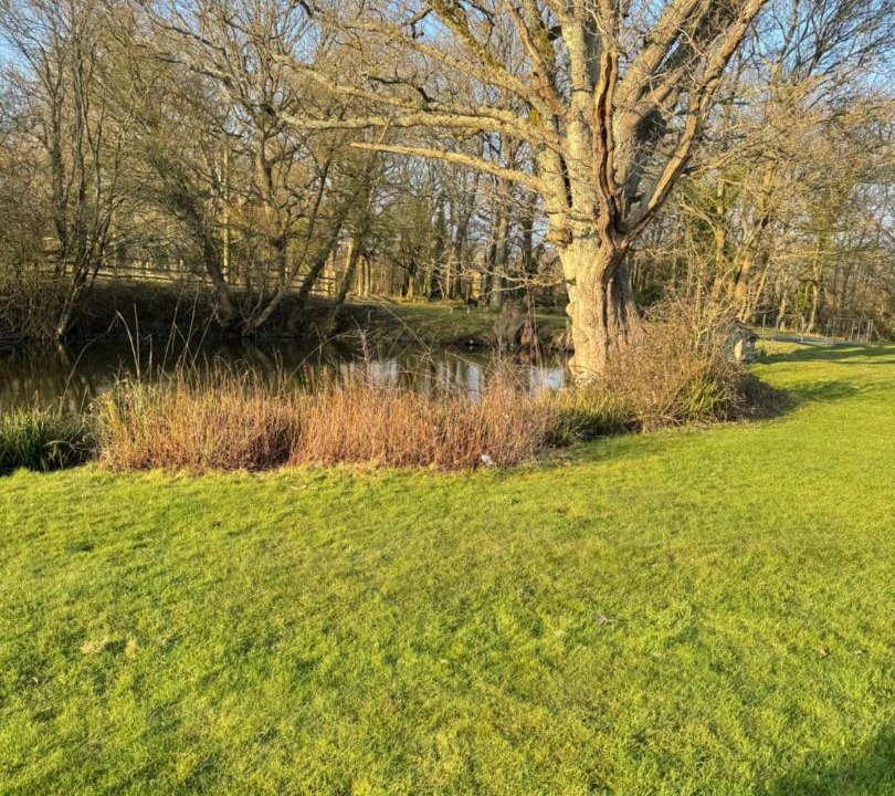 Photo of Others in Ewhurst Green