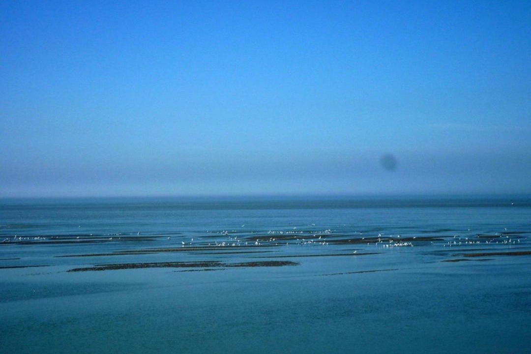 Photo of Others in Cayeux-sur-Mer