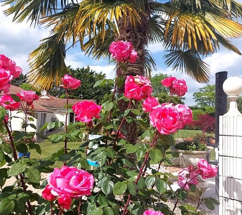 Photo of Others in Neuville-de-Poitou