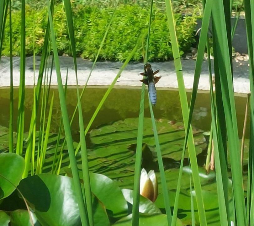 Photo of Others in Neuville-de-Poitou