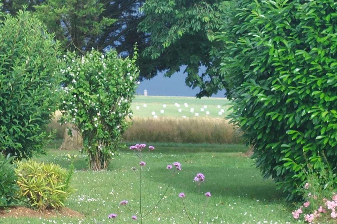 Photo of Others in Neuville-de-Poitou