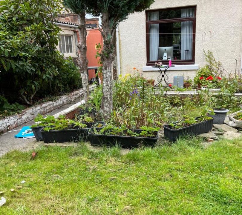 Photo of Outdoor in Duddingston