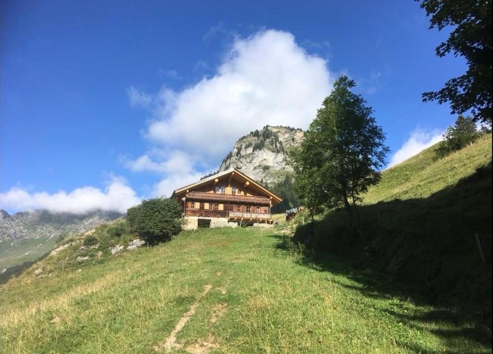Photo of Others in Champery