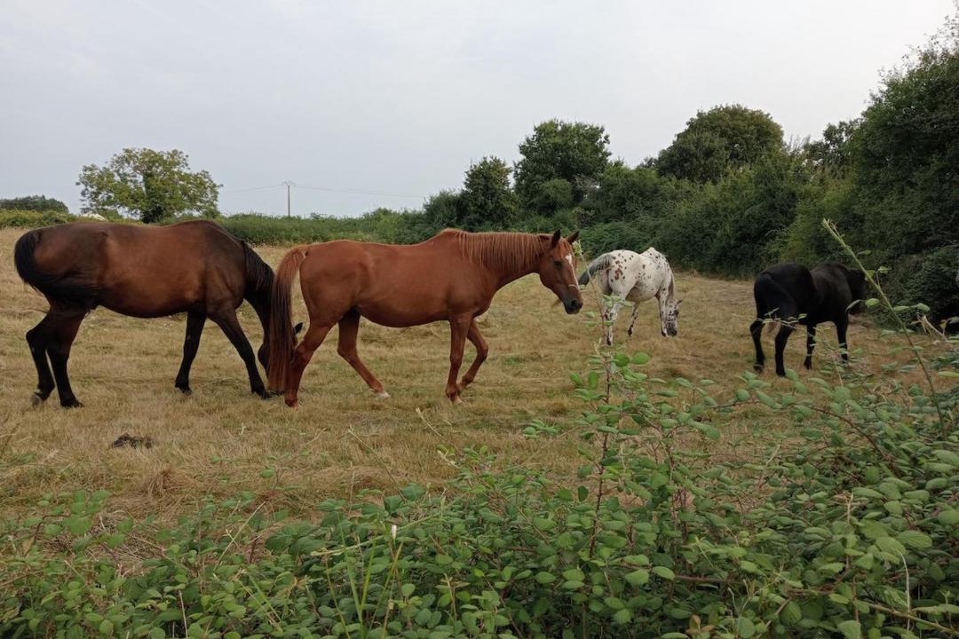 Photo of Others in Saint-Roch