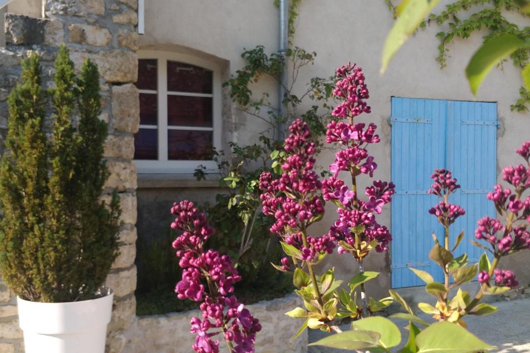 Photo of Others in Sceaux-du-Gatinais