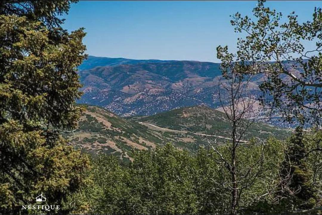 Photo of Others in Tollgate Canyon