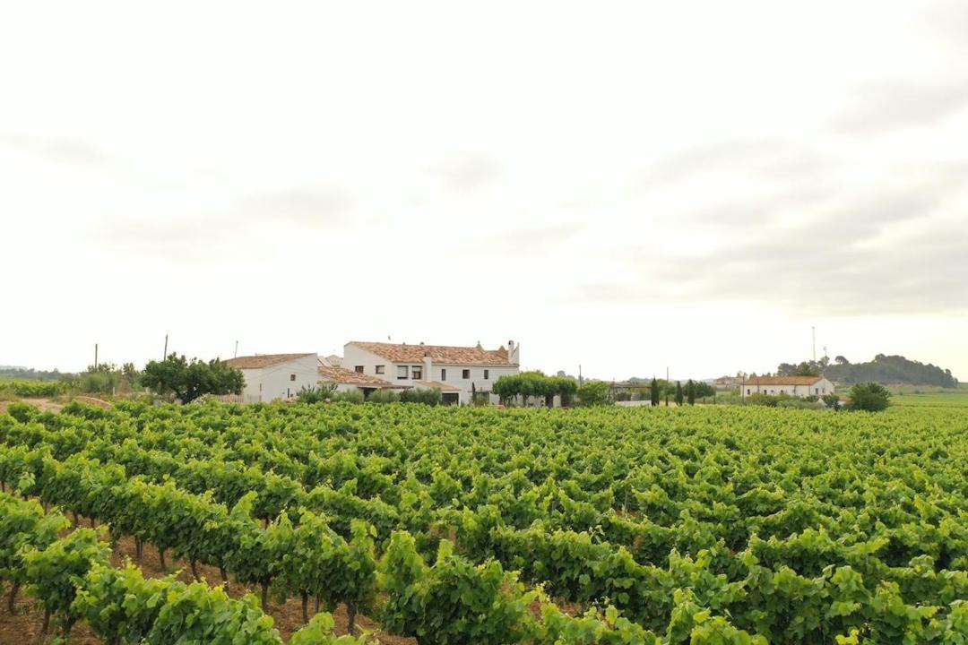 Photo of Others in Torrelles de Foix