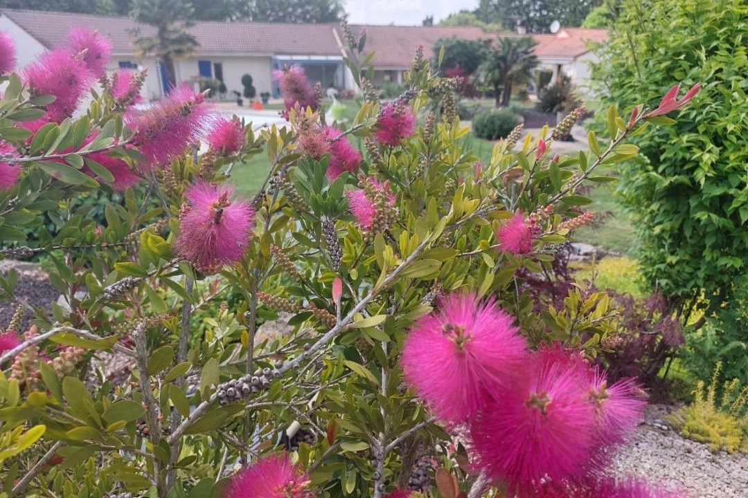 Photo of Outdoor in Neuville-de-Poitou