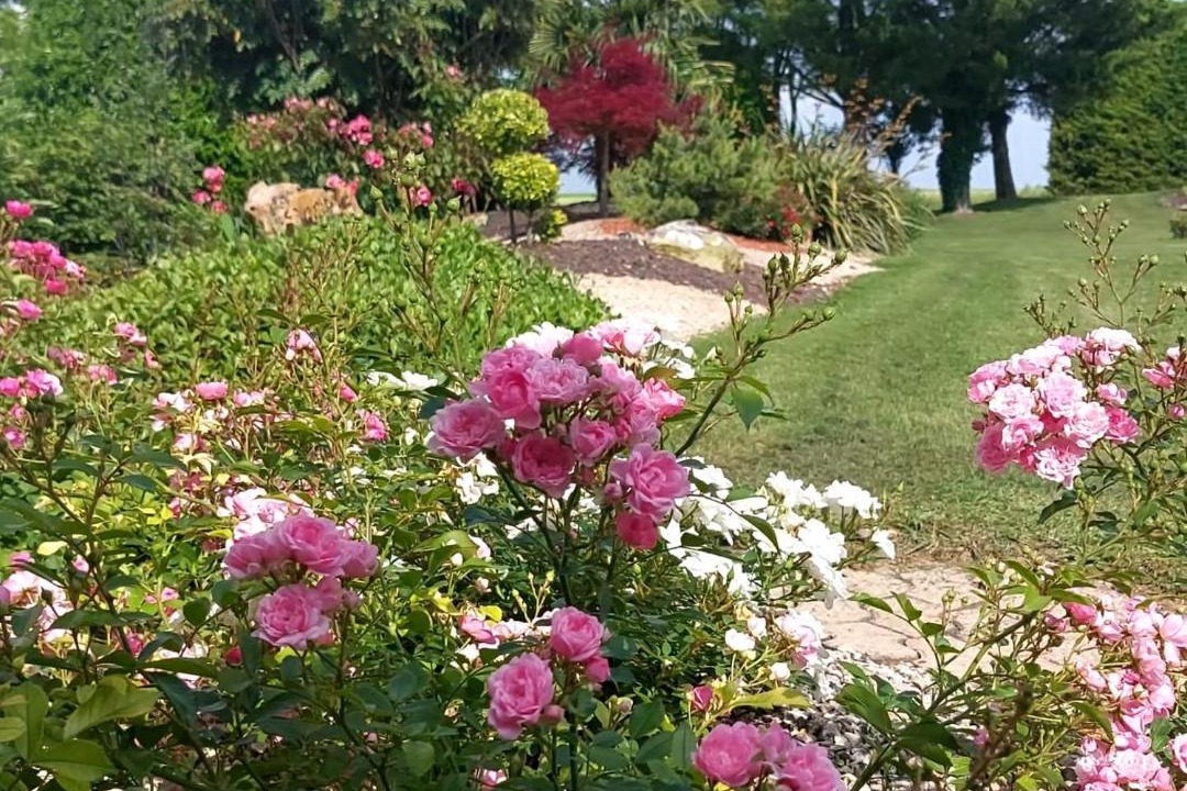 Photo of Others in Neuville-de-Poitou