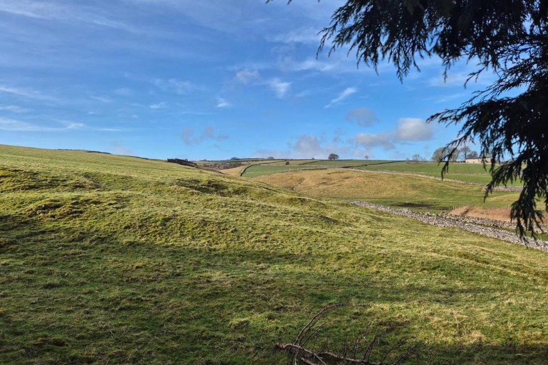 Photo of Others in Litton