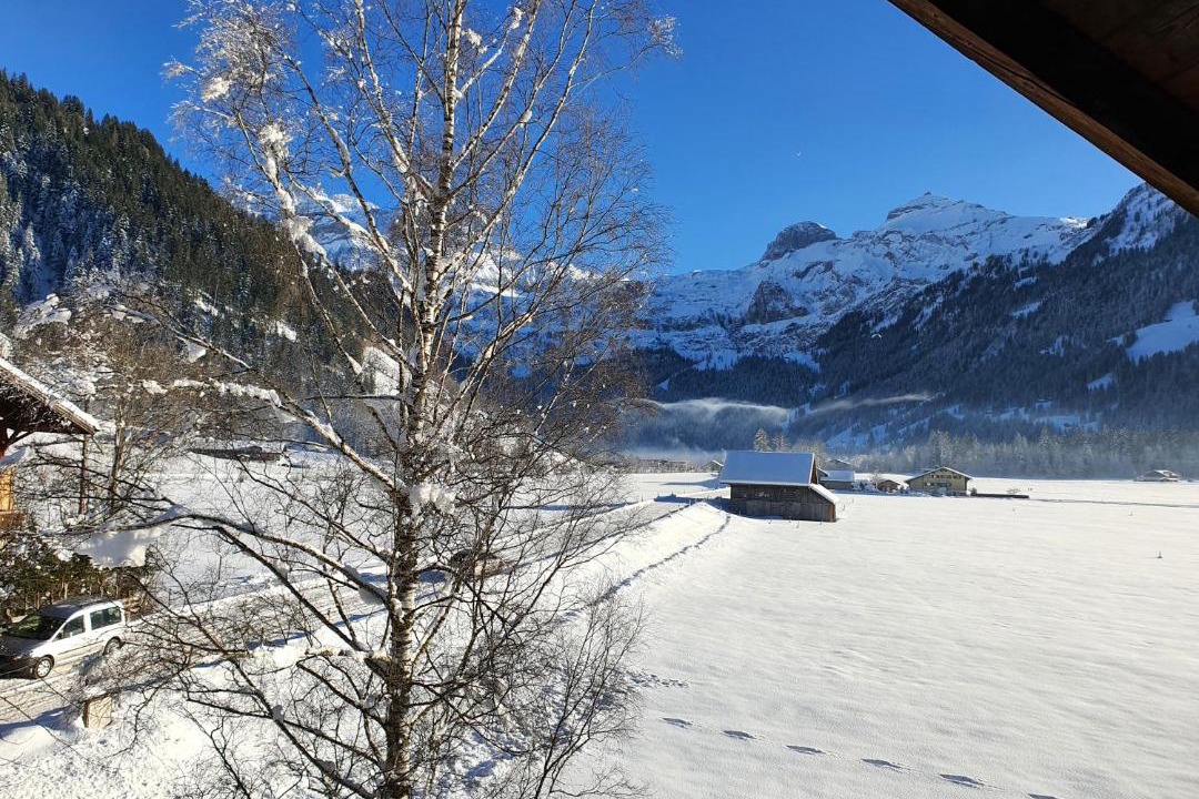 Photo of Others in Lenk
