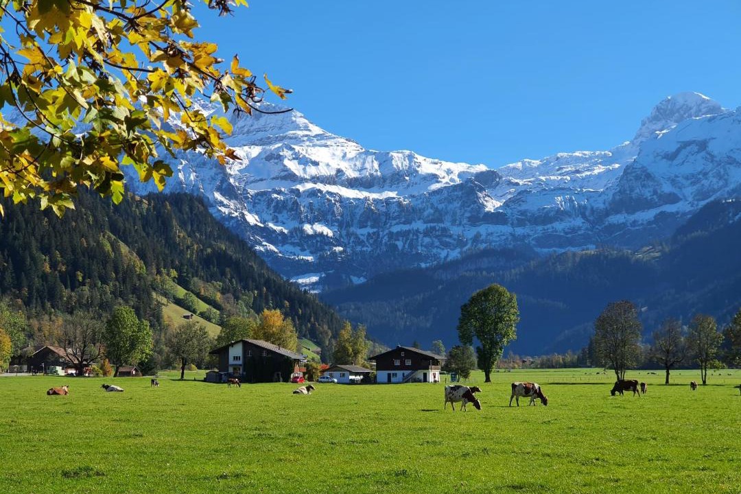 Photo of Others in Lenk