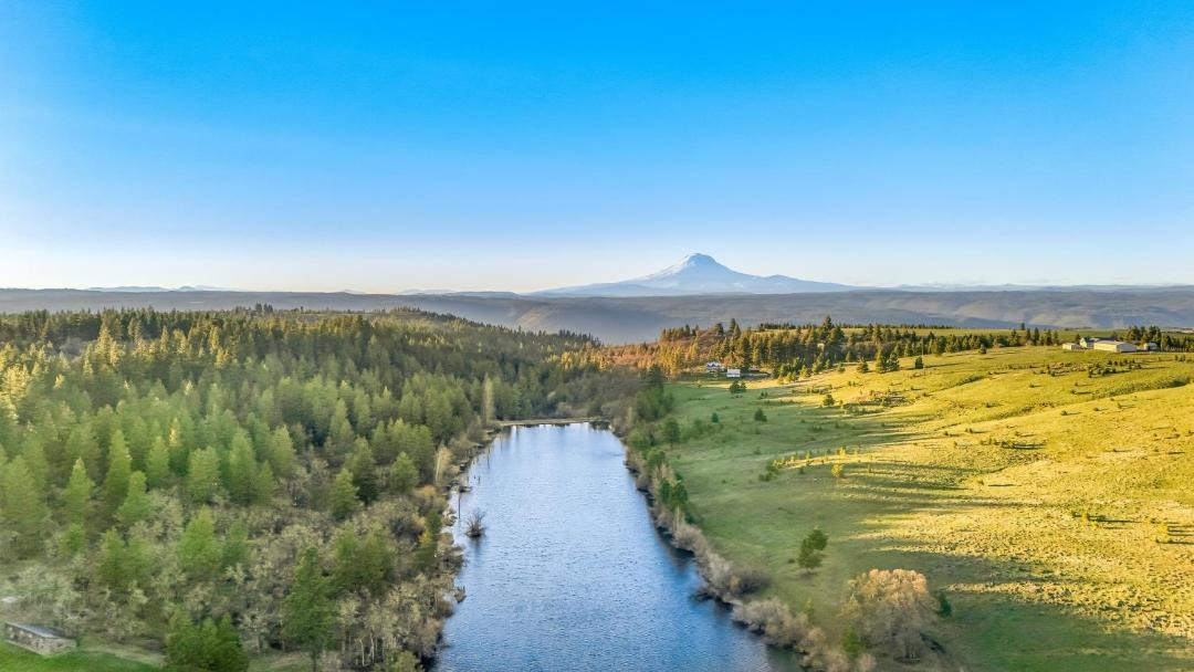 Photo of Others in Lyle