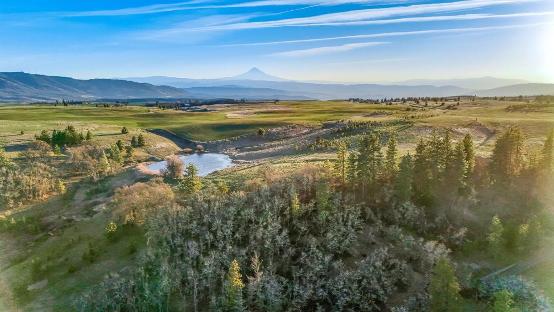 Photo of Others in Lyle