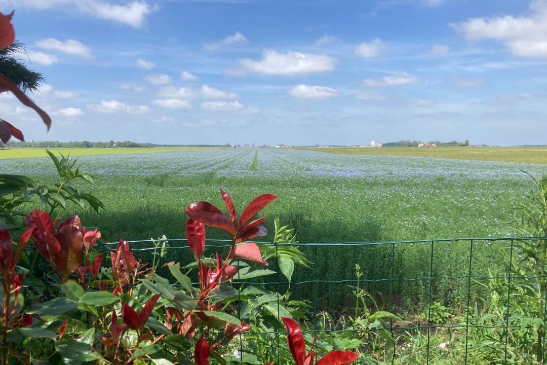 Photo of Others in Tigy