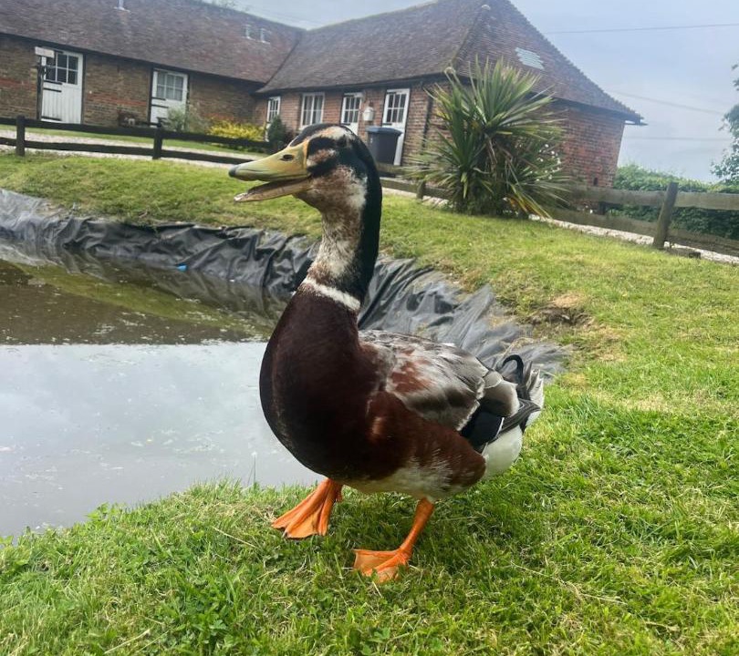 Photo of Others in Denton