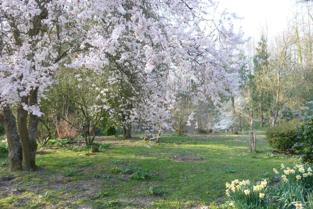 Photo of Others in Beaurainville