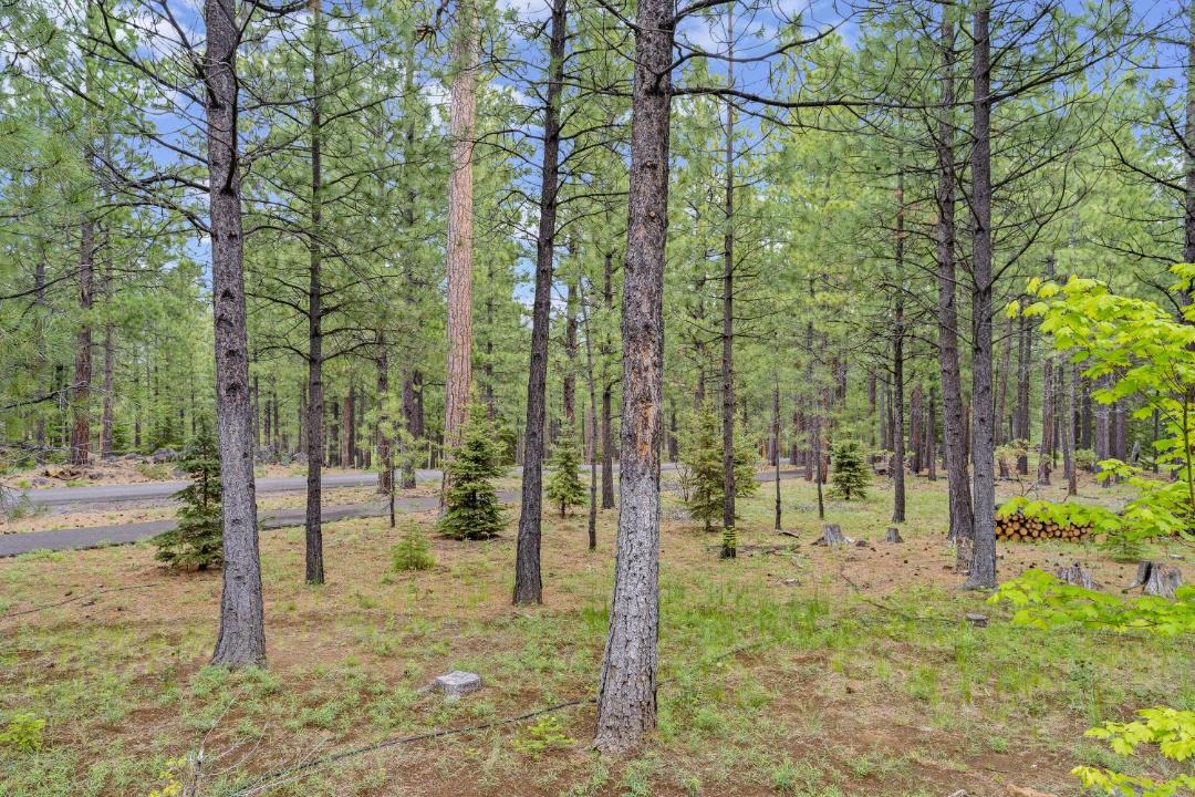 Photo of Others in Black Butte Ranch