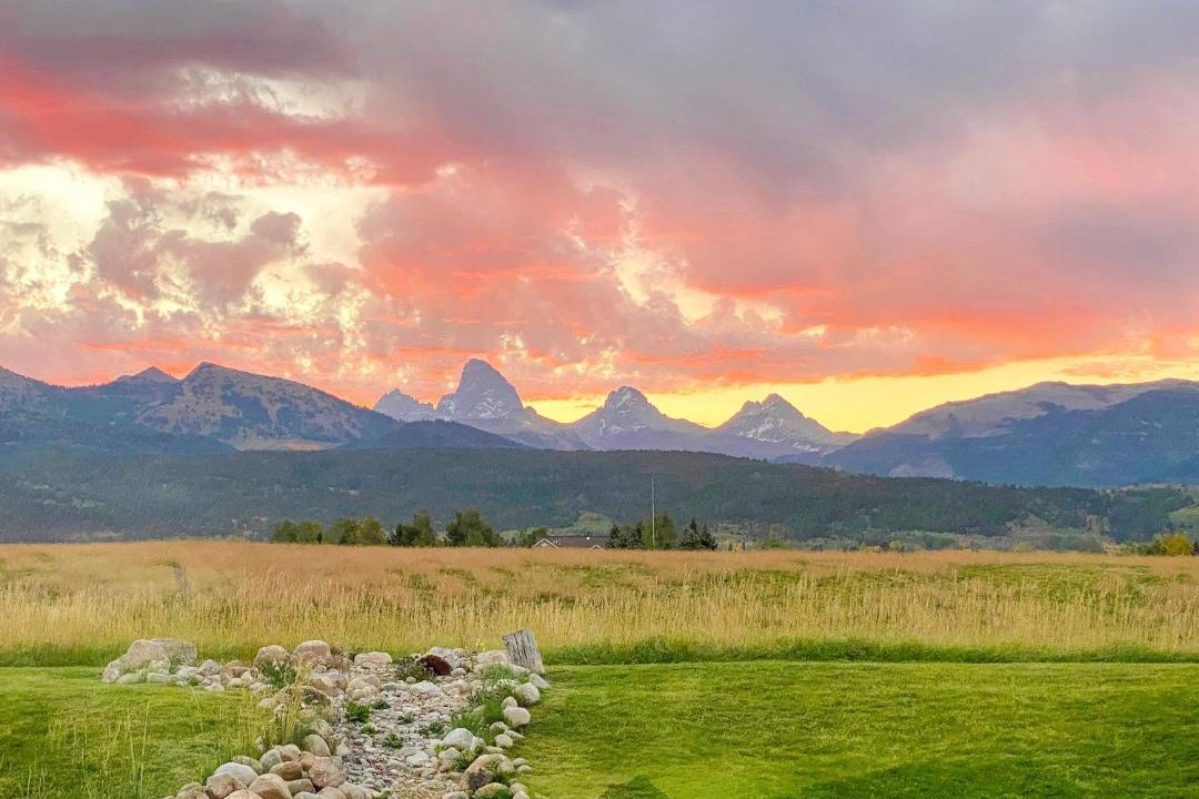 Photo of Others in Clawson