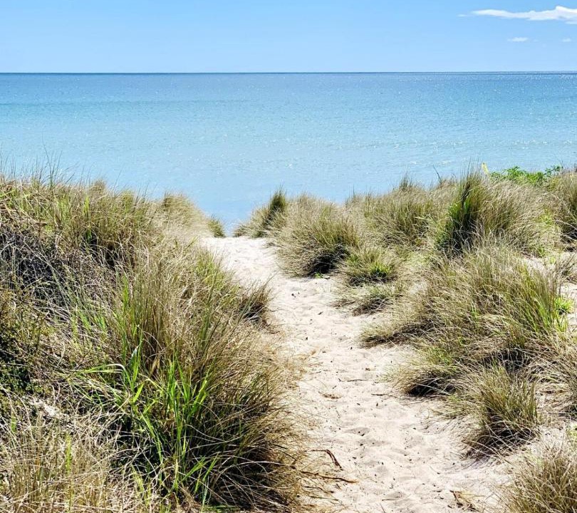 Photo of Others in Papamoa Beach
