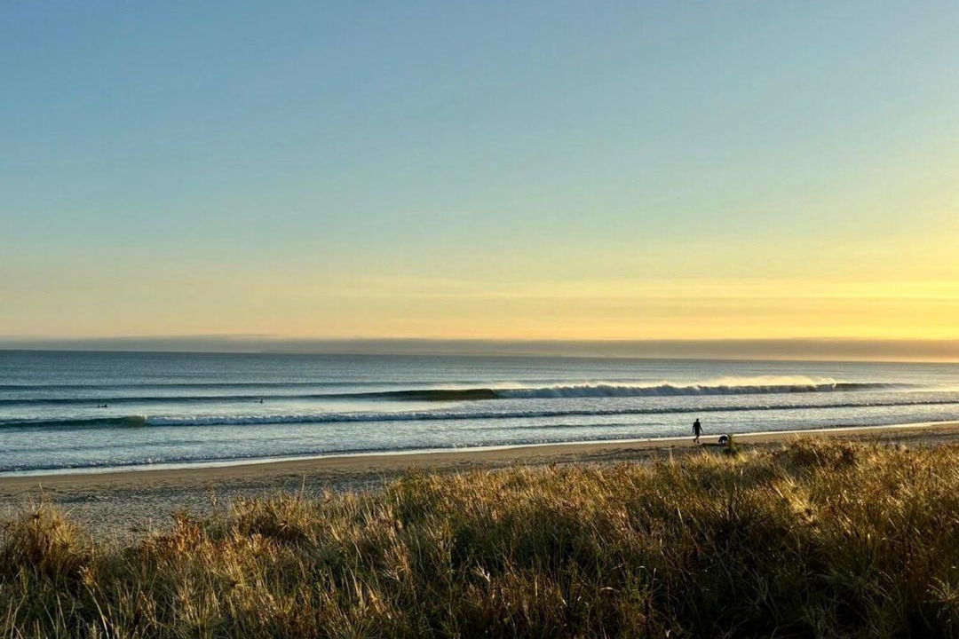 Photo of Others in Papamoa Beach
