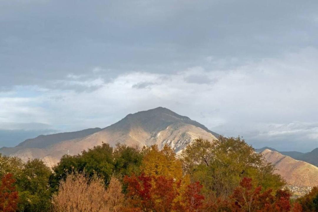 Photo of Others in South Salt Lake