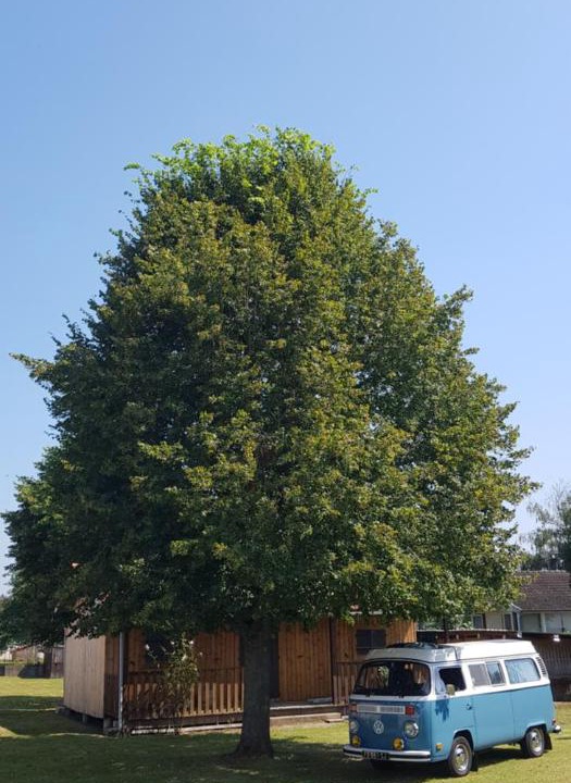 Photo of Outdoor in Poncey-les-Athee