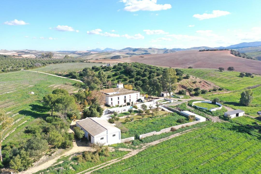 Photo of Others in Montellano