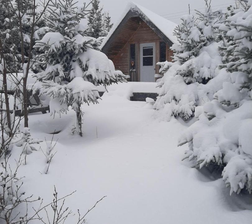 Photo of Others in Birch Plain