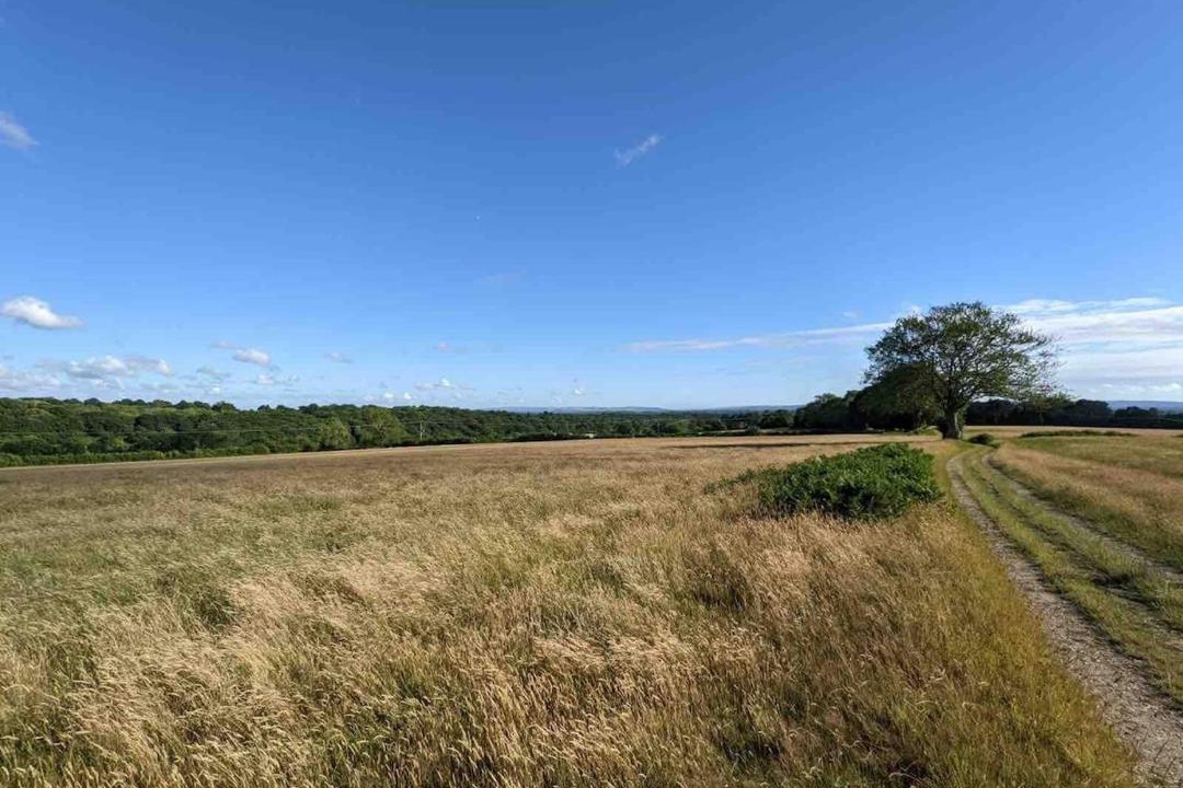 Photo of Others in Sheffield Green