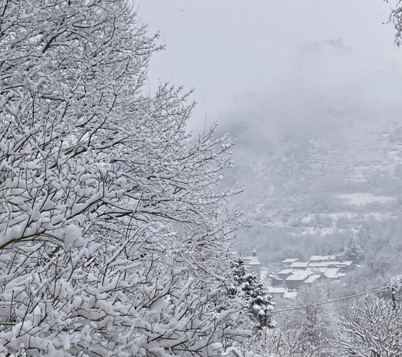 Photo of Others in Albies