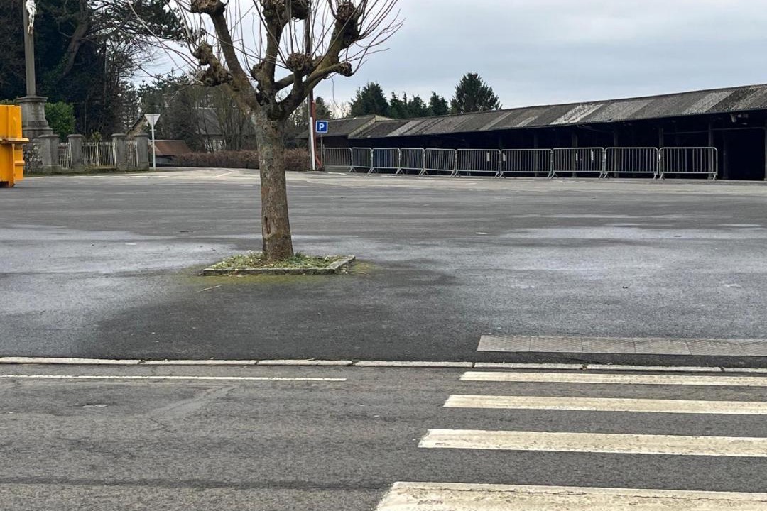 Photo of Others in Sourdeval