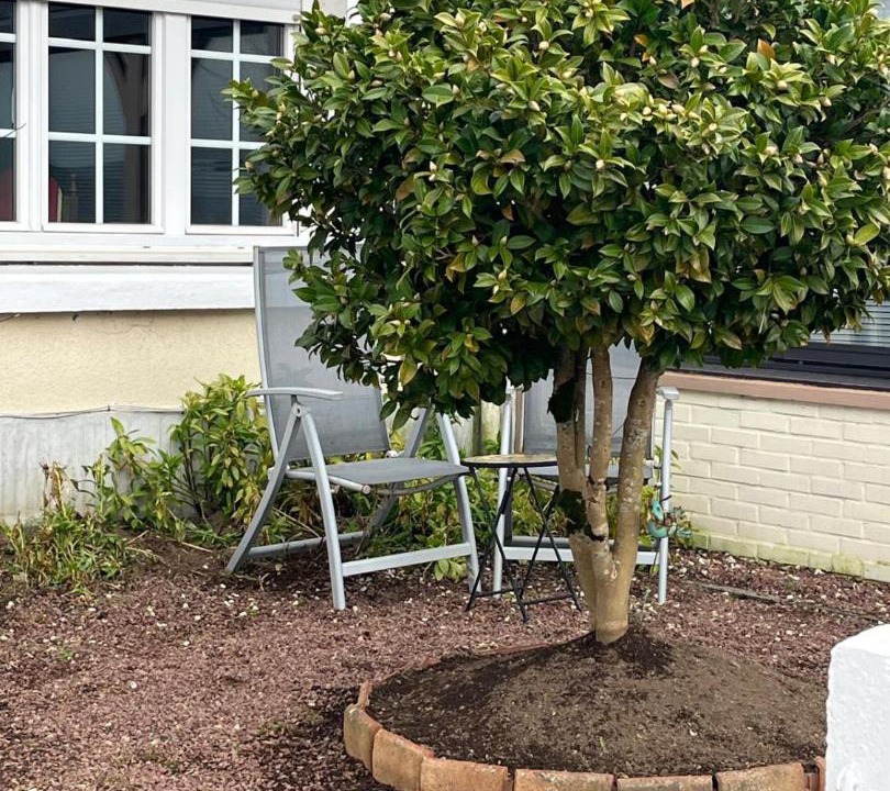 Photo of Others in Sourdeval