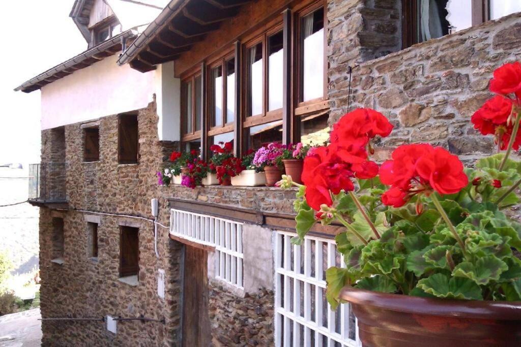 Photo of Others in Rialp