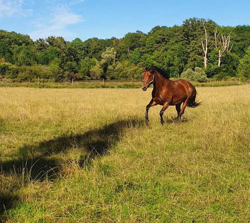 Photo of Others in Journet