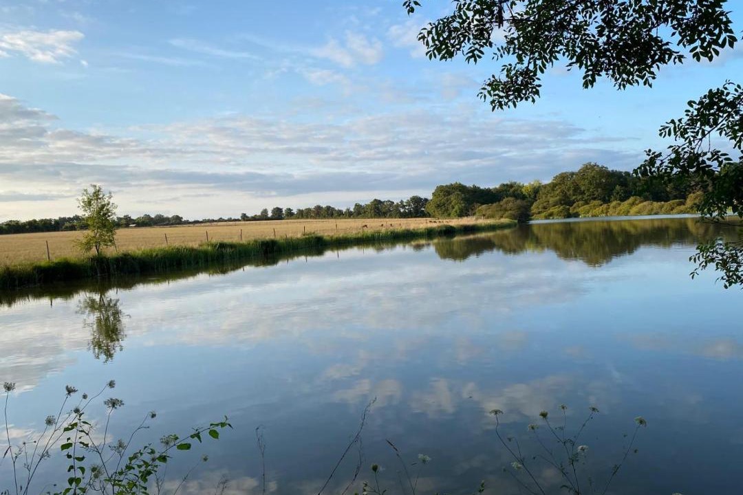 Photo of Others in Journet