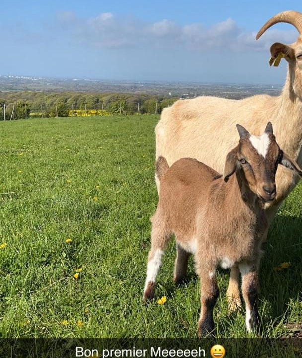 Photo of Others in Fiennes