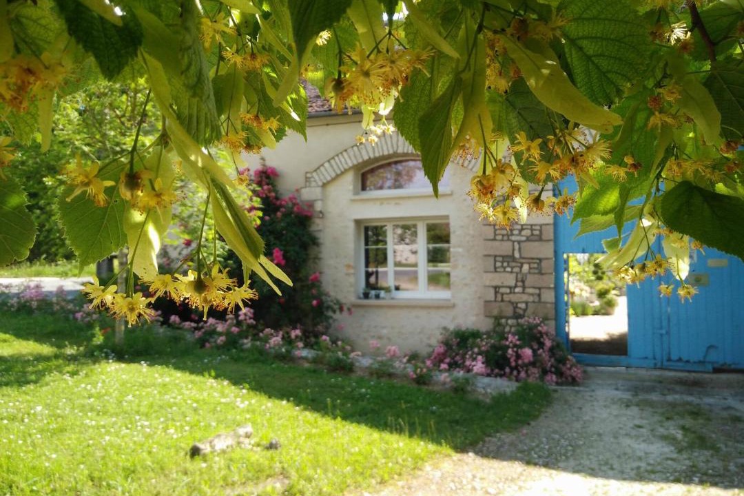 Photo of Others in Sceaux-du-Gatinais