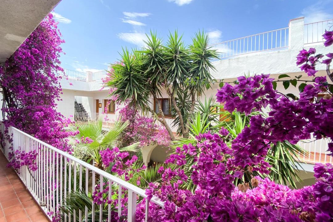 Photo of Patio Balcony in Vilamaniscle