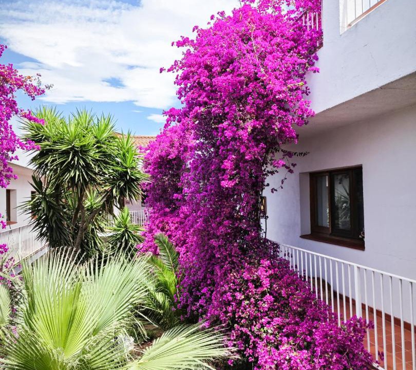 Photo of Patio Balcony in Vilamaniscle