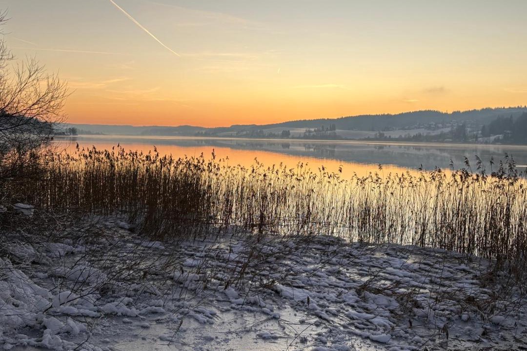 Photo of Others in Oye-et-Pallet