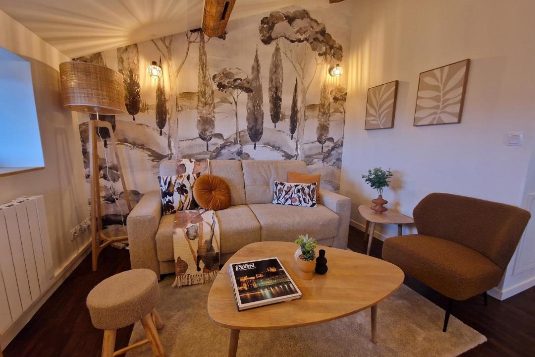 Photo of Livingroom in Old Lyon