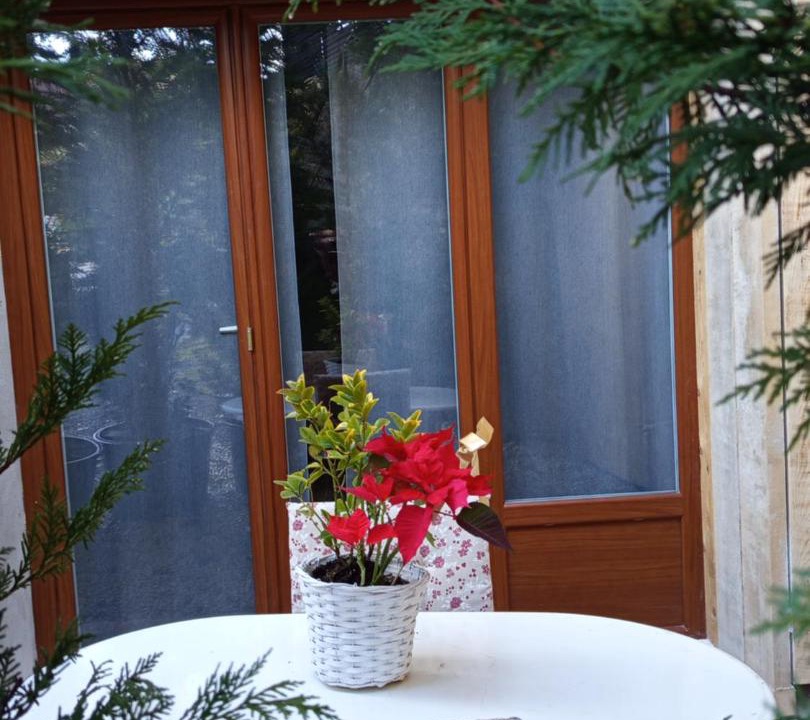 Photo of Patio Balcony in Chatillon-en-Michaille